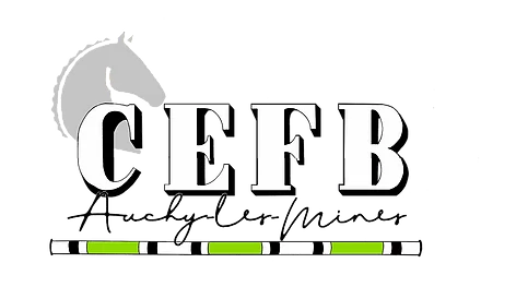 CENTRE EQUESTRE DE LA FERME DES BRIQUES logo