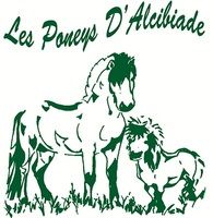 LES PONEYS D' ALCIBIADE logo