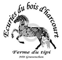 ECURIES DU BOIS D HARCOURT logo