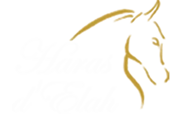 SAS HARAS D ELAH logo