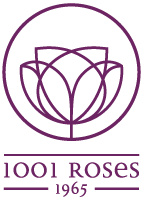 HARAS DES 1001 ROSES logo