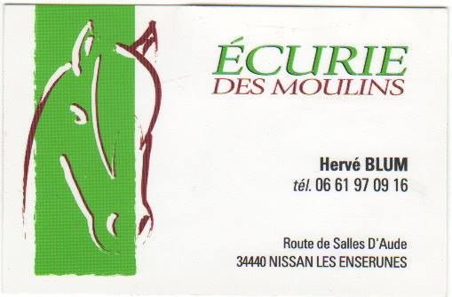 ECURIES DES MOULINS logo