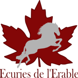 ECURIES DE L' ERABLE logo