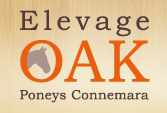 TEAM ELEVAGE OAK logo