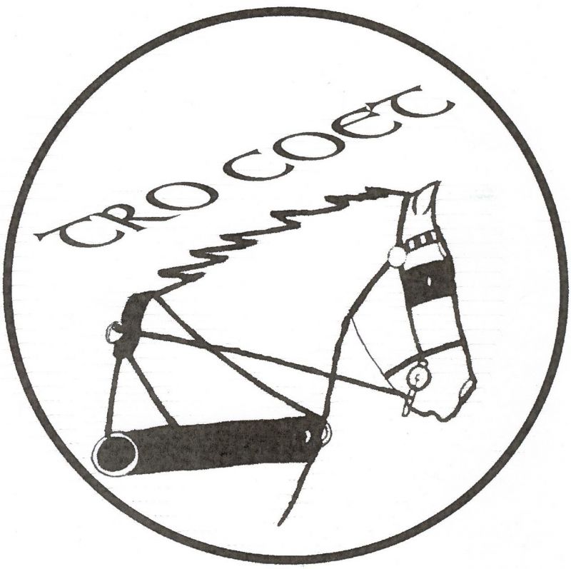 Logo de la structure ASSOCIATION TRO COET