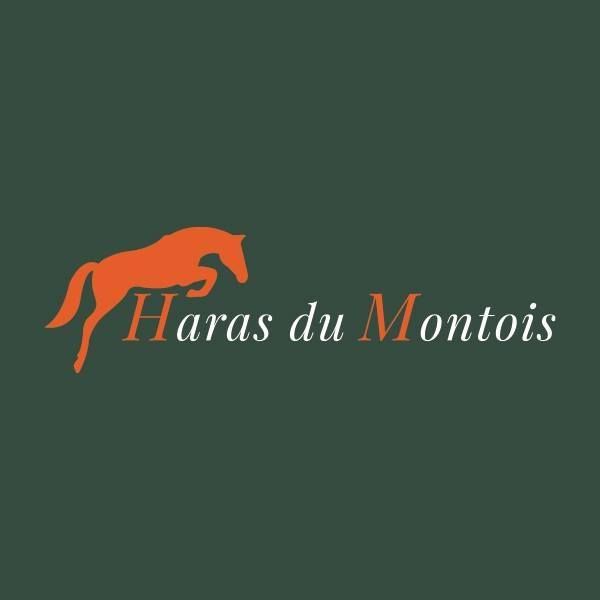 HARAS DU MONTOIS logo