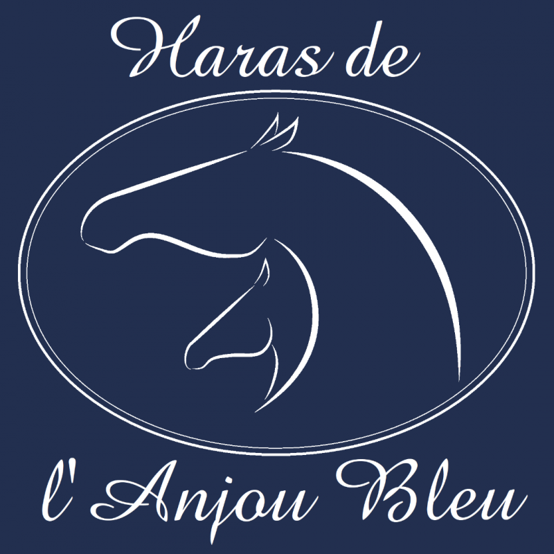 Haras de l'Anjou Bleu logo