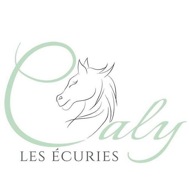LES ECURIES CALY logo