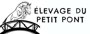 Logo de la structure LA CAVALERIE DU PETIT PONT