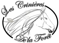 LES CRINIERES DE LA FORET logo