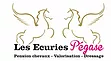 LES ECURIES PEGASE logo