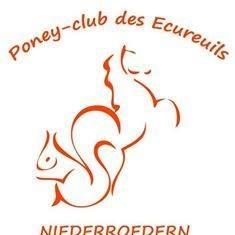 PONEY CLUB DES ECUREUILS logo