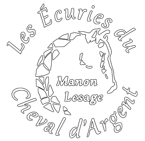 LES ECURIE DU CHEVAL D ARGENT logo