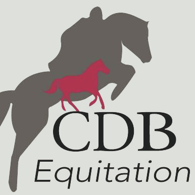 CDB EQUITATION logo