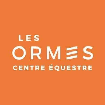 DOMAINE DES ORMES logo