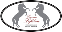 ECURIES VINCENT LEFEBVRE logo