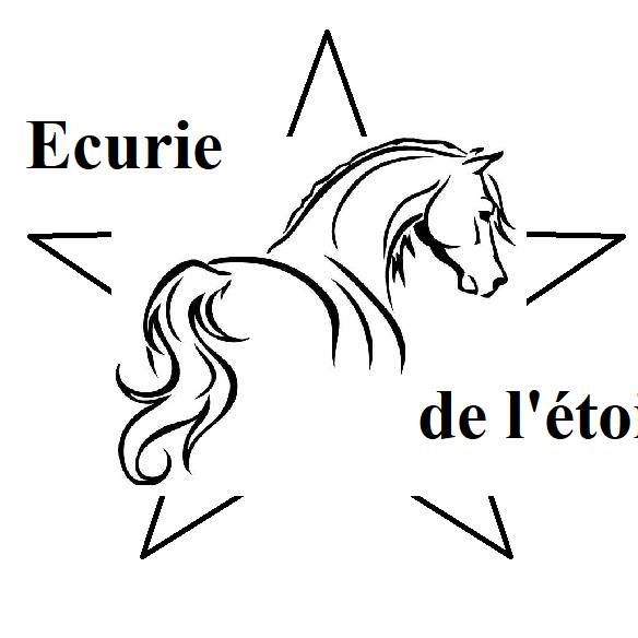Logo de la structure ECURIES DE L'ETOILE