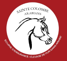 SAINTE COLOMBE ARABIANS logo