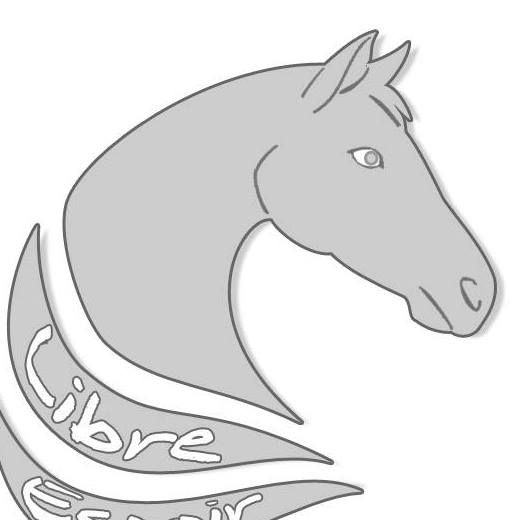 ASS EQUESTRE LIBRE ESPOIR logo