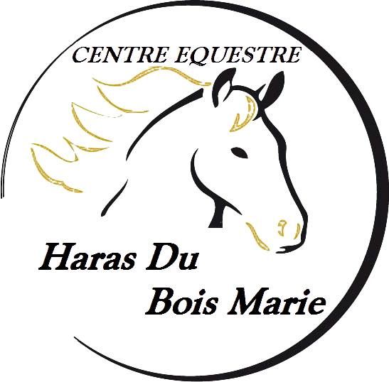 HARAS DU BOIS MARIE logo