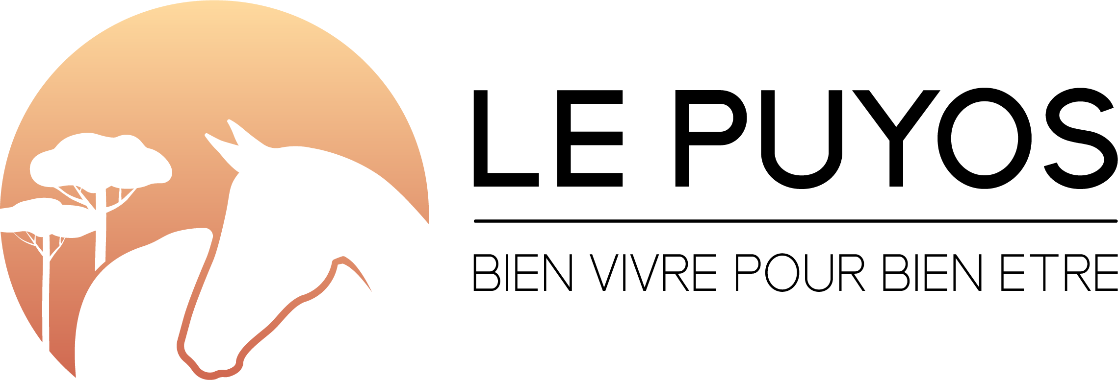 L'Écurie Active du Puyos logo