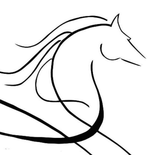 CENTRE EQUESTRE DE CONTAMINE logo