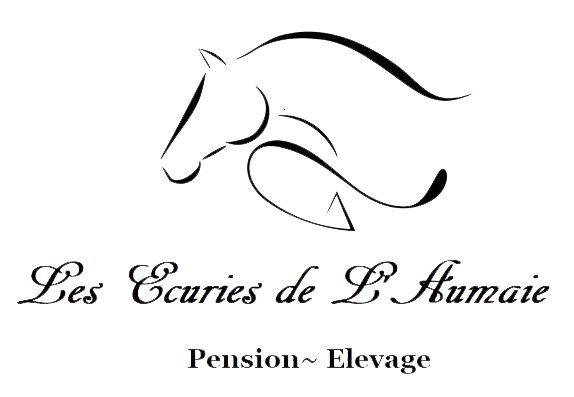 ECURIES DE L' AUMAIE logo