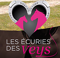 LES ECURIES DES VEYS logo