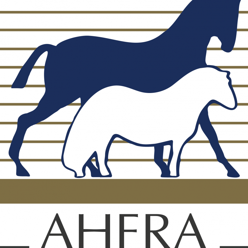 CENTRE EQUESTRE DE AHFRA logo