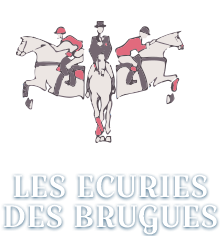ECURIES DES BRUGUES logo