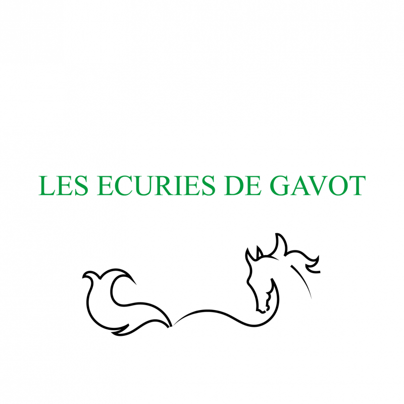 ECURIES DE GAVOT logo