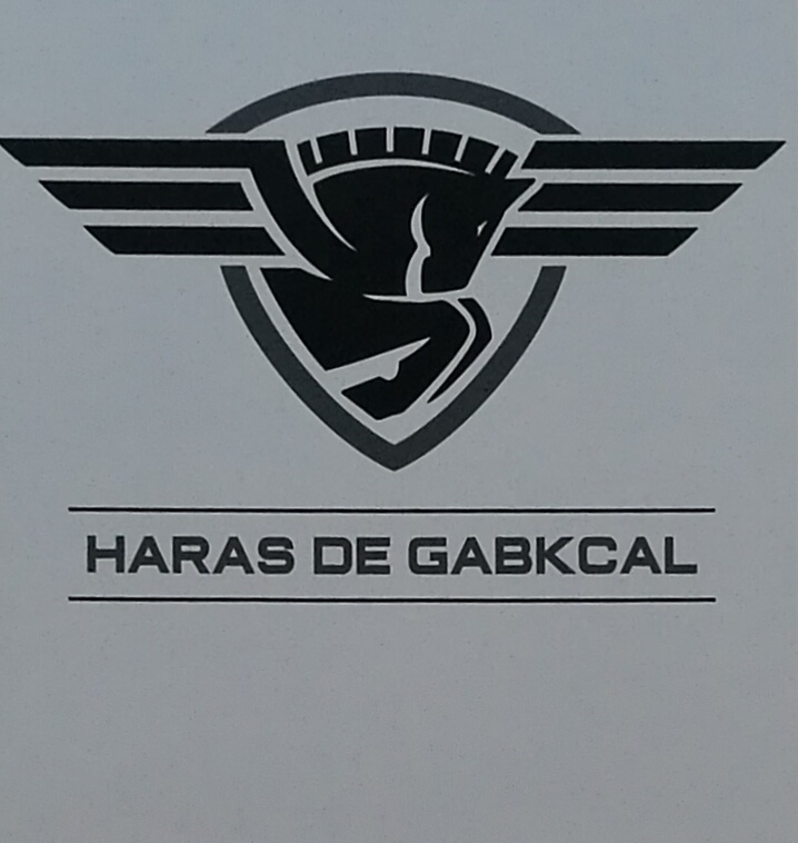 Haras de Gabkcal  logo