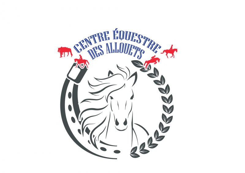 PONEY CLUB DES ALLOUETS logo