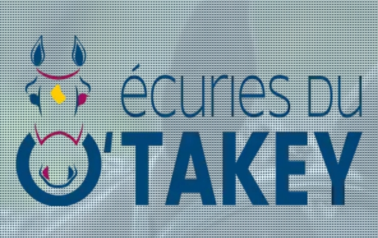 LES ECURIES DU O'TAKEY  logo