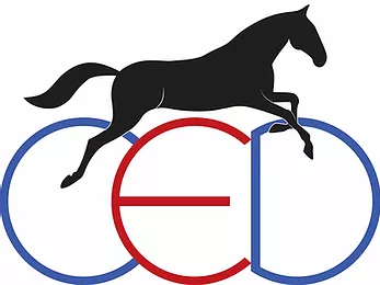 CENTRE EQUESTRE DE DROCOURT logo