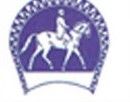 LES PONEYS DE LA RABIOTTE logo