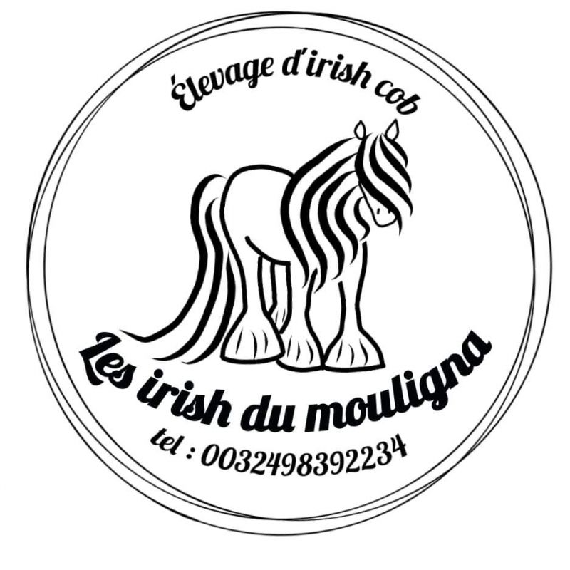 Les Irish du Mouligna logo