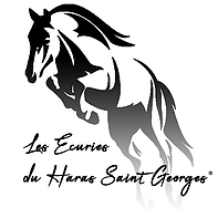 LES ECURIES  DU HARAS ST GEORGES logo