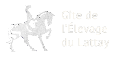 ECURIES MYRIAM DUVOCHEL  - ELEVAGE DU LATTAY logo