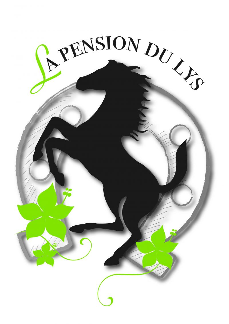 PENSION DU LYS  logo