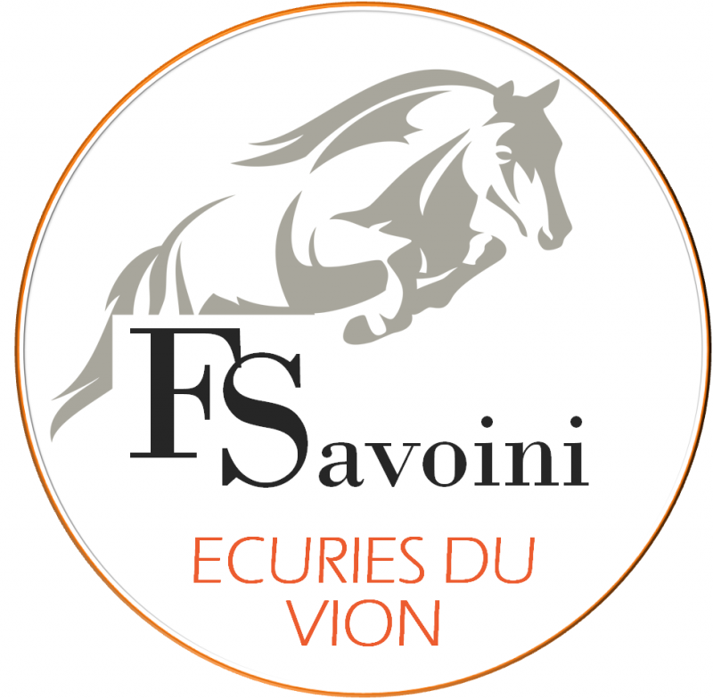 LES ECURIES DU VION logo