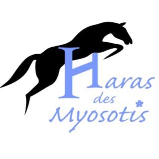 HARAS DES MYOSOTIS logo