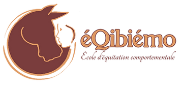 éQibiémo logo