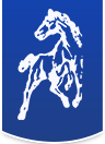 TEAM GM et CENTRE EQUESTRE DE LA MEILLERAIE logo