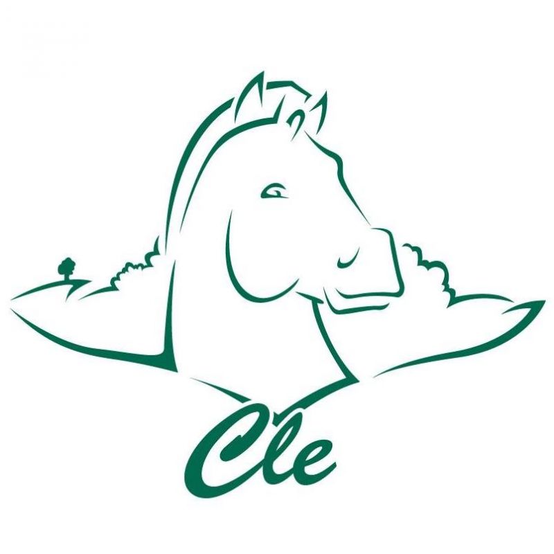 ASSO CLE LA CLE DES LOISIRS EQUESTRES logo