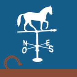 HARAS DE CROIX D HINS logo