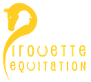 LA PIROUETTE EQUITATION logo