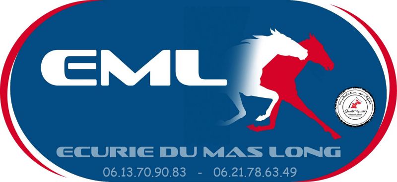 ECURIES DU MAS LONG logo