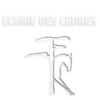 ECURIE DES CEDRES logo