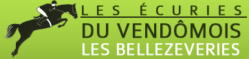 ECURIES DU VENDOMOIS logo